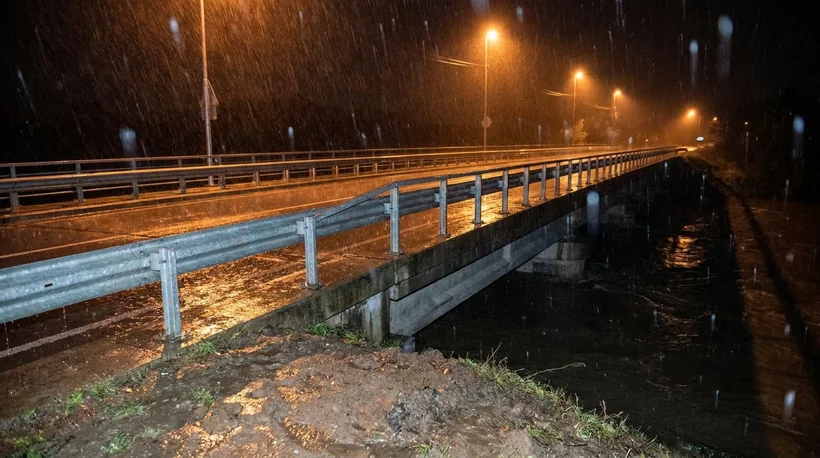 雨の夜の水元大橋。濡れた路面に街灯の光が映っている